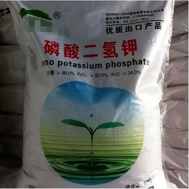 中港?；坟洿? width=