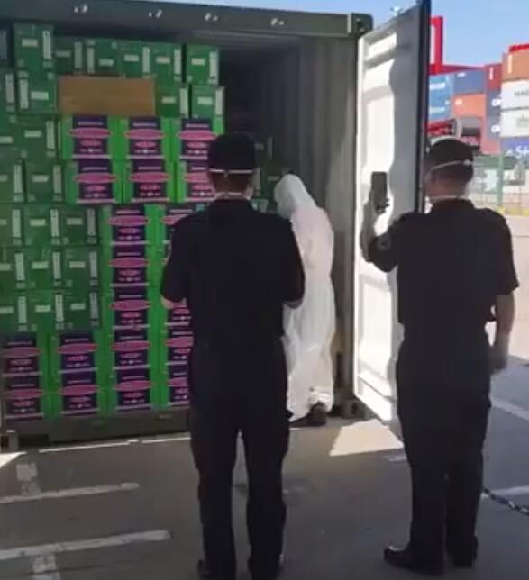 <a href='http://www.nybtm.com' title='危險品運輸' >危險品運輸</a>