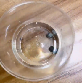 <a href='http://www.nybtm.com' title='危險品貨代' >危險品貨代</a>